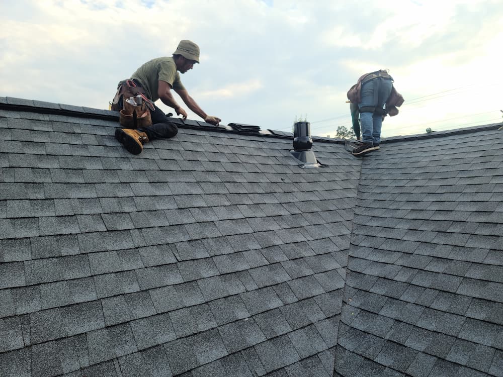 shingle roofing services